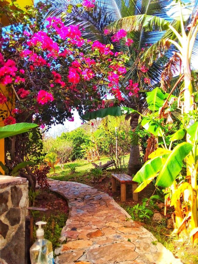 Windy View Guest House Archibolds Экстерьер фото