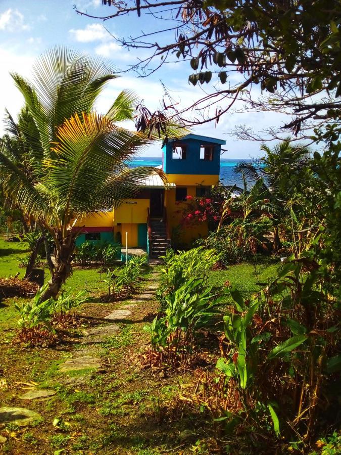 Windy View Guest House Archibolds Экстерьер фото
