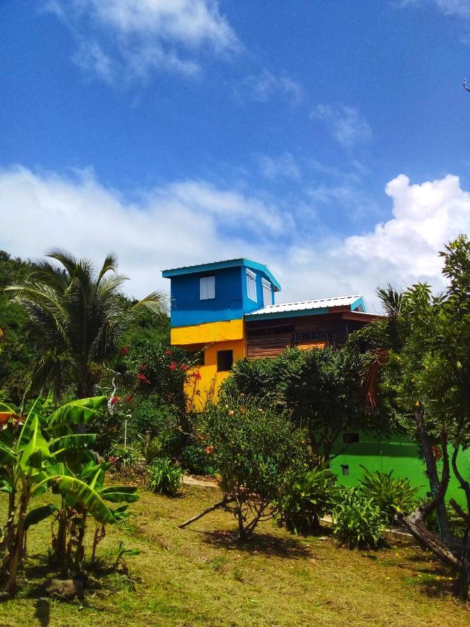 Windy View Guest House Archibolds Экстерьер фото