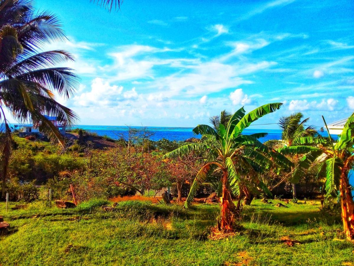 Windy View Guest House Archibolds Экстерьер фото