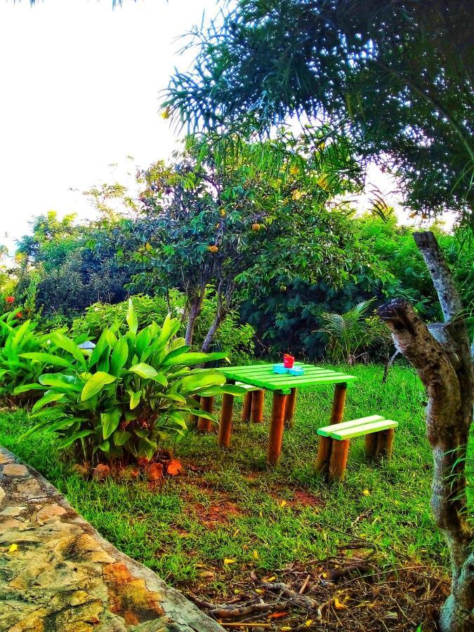 Windy View Guest House Archibolds Экстерьер фото
