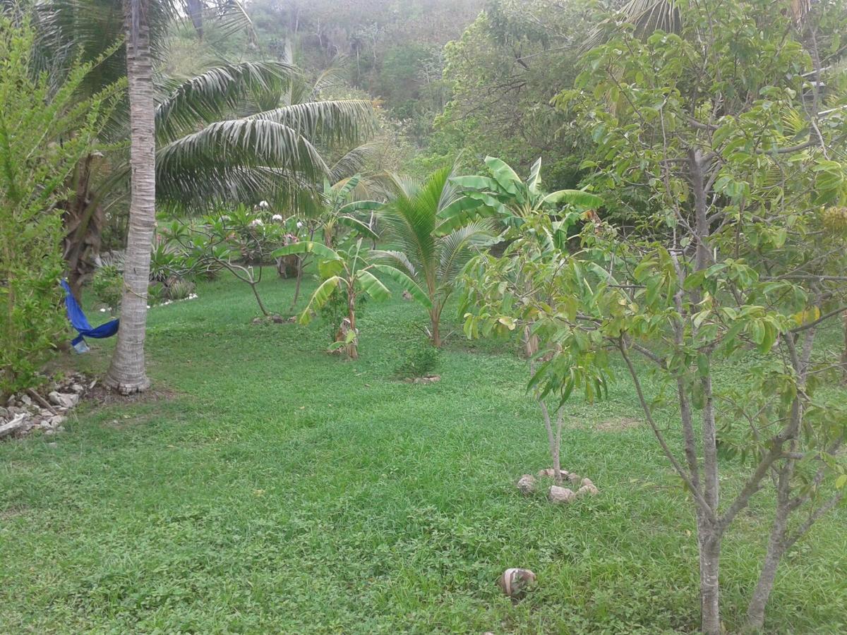 Windy View Guest House Archibolds Экстерьер фото