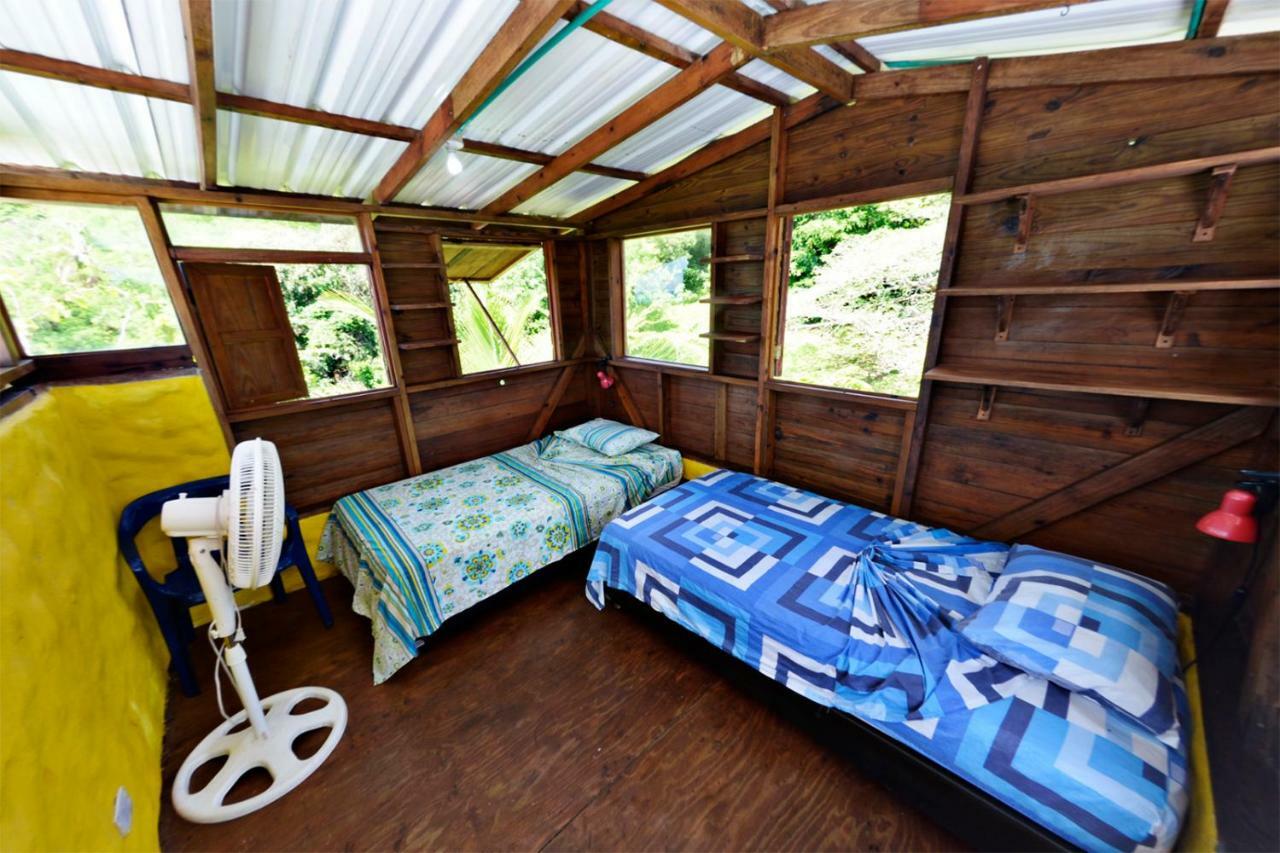 Windy View Guest House Archibolds Экстерьер фото