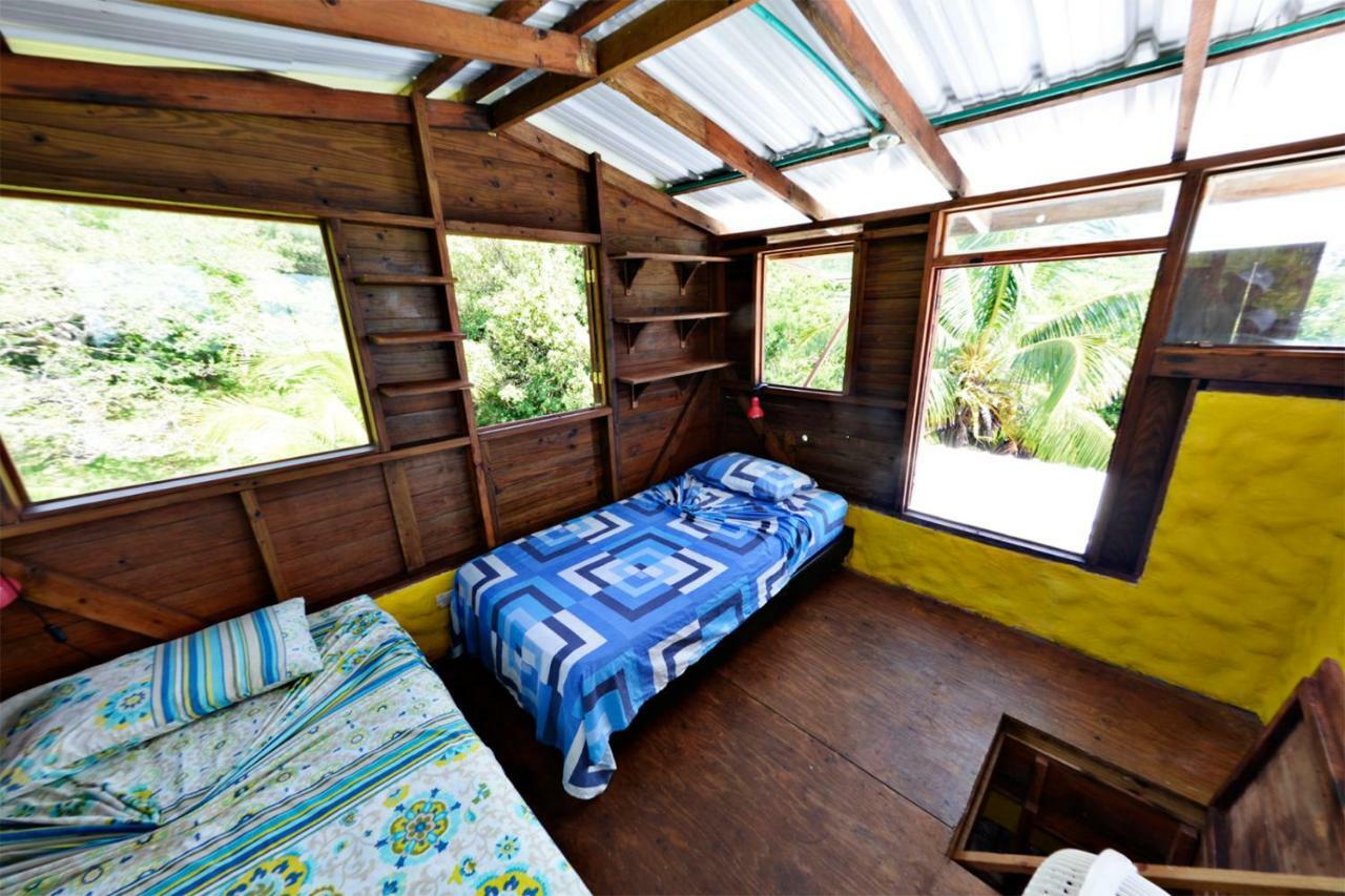 Windy View Guest House Archibolds Экстерьер фото